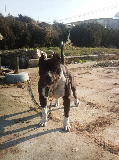 Photo993 - Sara si Leo