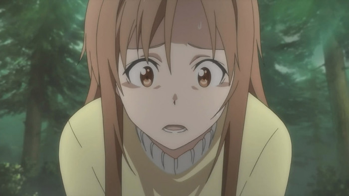Sword Art Online - 11 - Large 17