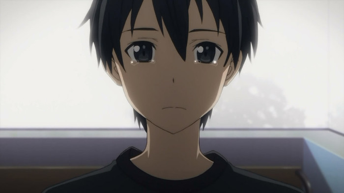 Sword Art Online - 15 - Large 05