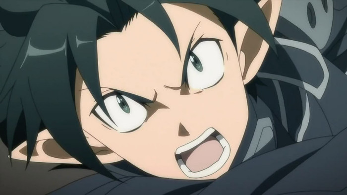Sword Art Online - 22 - Large 16