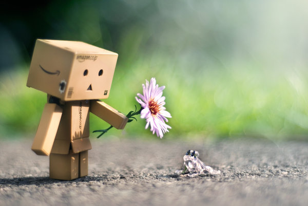 13 - Danbo