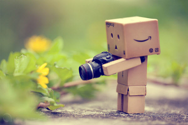 15 - Danbo