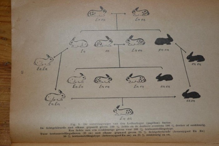 544991_416933928376039_1118262710_n - M-Genetica in imagini