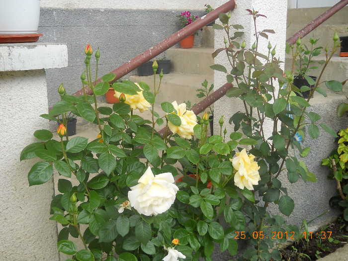 DSCN1119