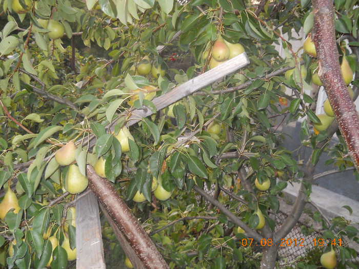 DSCN1189