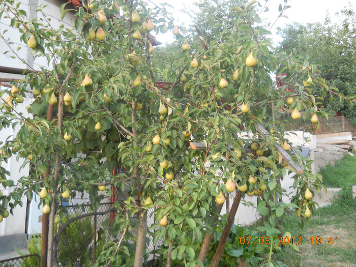 DSCN1190