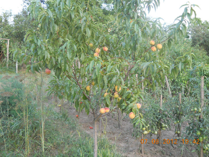 DSCN1195