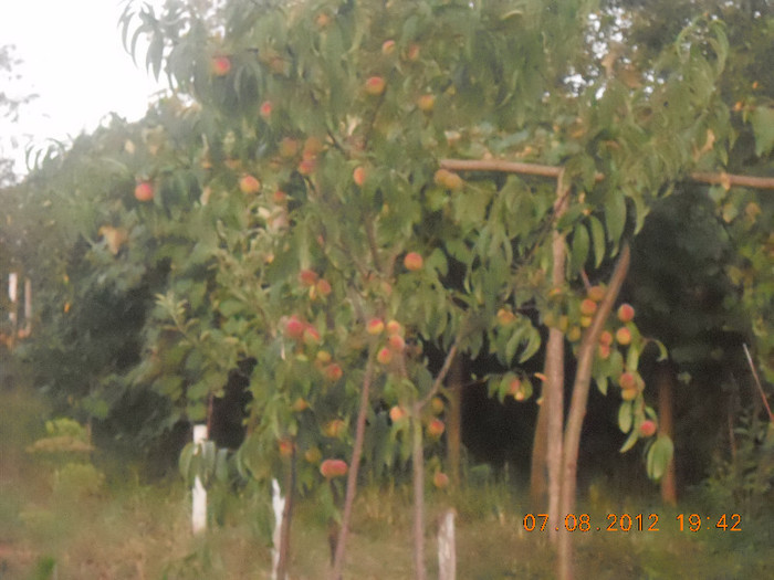 DSCN1197