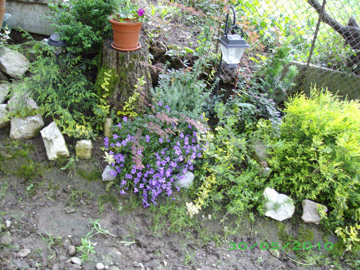 IMGP1077