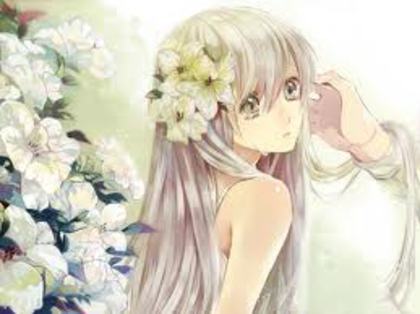  - zZAnime girl