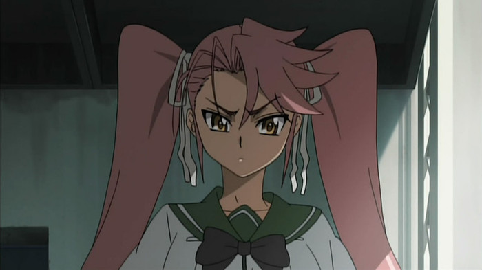 HIGHSCHOOL OF THE DEAD - 01 - Large 09