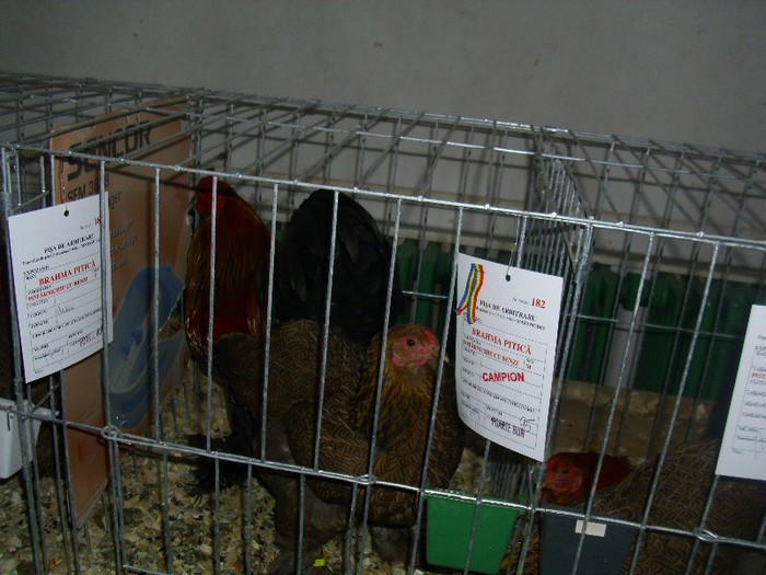 DSCI0844