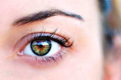 imagesCA6P0RW8 - ZzEyes