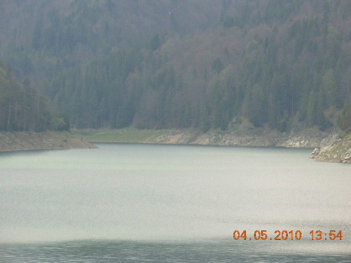 DSCN7608