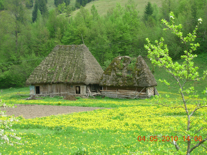 DSCN7621