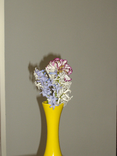 IMGP0237