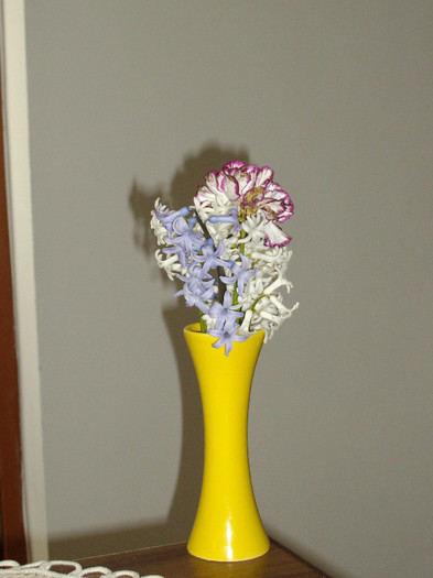 IMGP0238