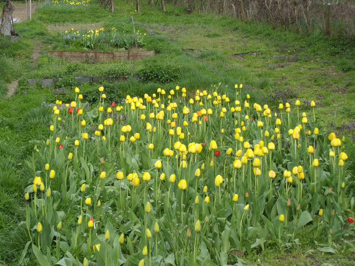 IMGP0244