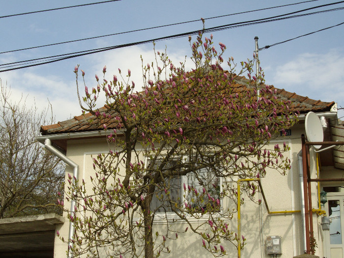 IMGP0248