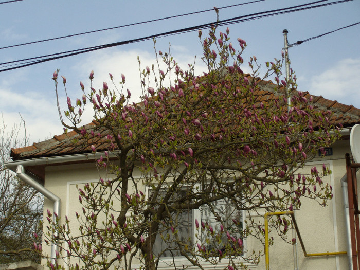 IMGP0249