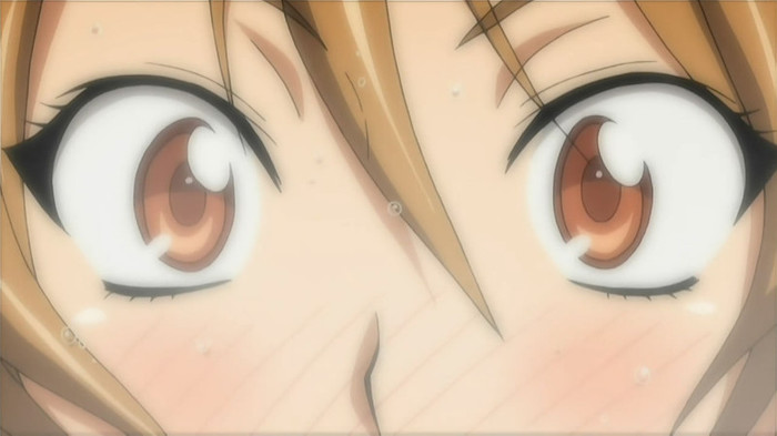 HIGHSCHOOL OF THE DEAD - 05 - Large Preview 02 - Miyamoto Rei