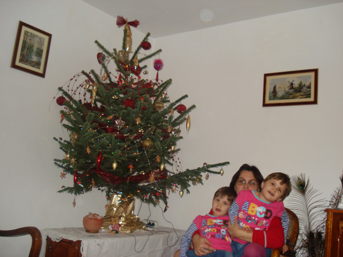 DSC02739 - Revelion 2013