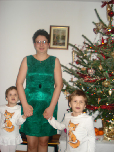 DSC02757 - Revelion 2013