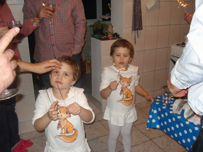 DSC02765 - Revelion 2013