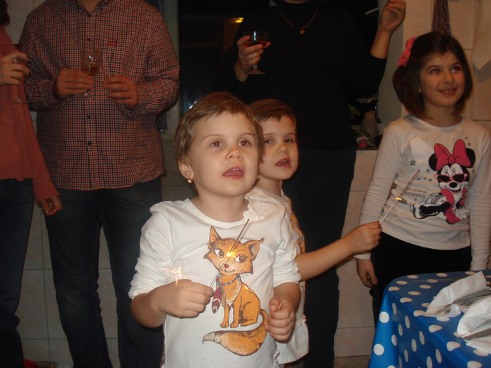 DSC02785 - Revelion 2013