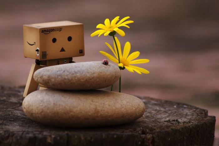 23 - Danbo