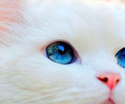 580632_472478869478168_1682350563_n_thumb