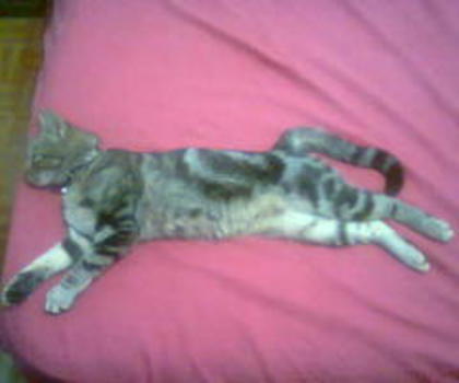 A-0173nCMAELQgX_thumb.jpg_large