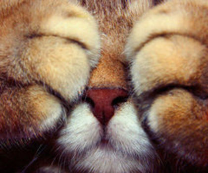 tumblr_mg6jmbc1OE1rxt5g4o1_500_thumb - 0__BUNA__0