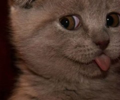tumblr_mckd3o7wsg1qzpwi0o1_500_thumb - 0__BUNA__0