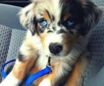 389631805231579249_LROqzDul_c_thumb