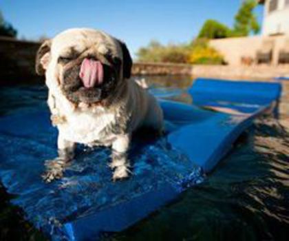 556312_305438376224811_1679798339_n_thumb