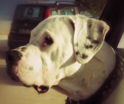 734069_494901833881338_1152828517_n_thumb