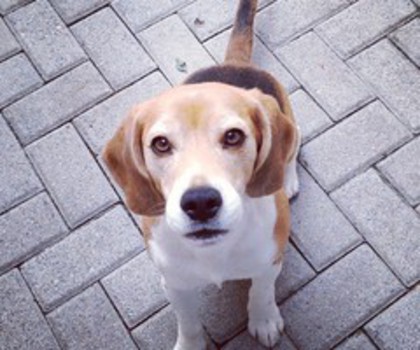 b6b373582e8511e2aeb222000a1f9e7e_7_thumb