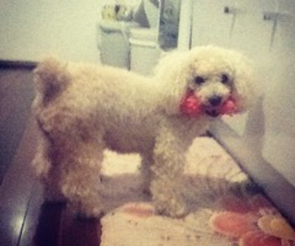 d780e894577611e28d6622000a1fbc43_7_thumb