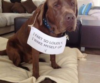 tumblr_mg5tv3zYoS1qcttw1o1_500_thumb