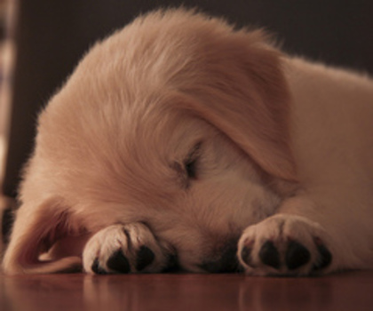 tumblr_mg10bjA08Z1s0m8k4o1_500_thumb