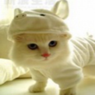 avatare_animale_723