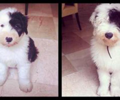 133206_3257885024941_1499222834_o_thumb