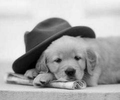 545140_192199747586257_1545321416_n_thumb