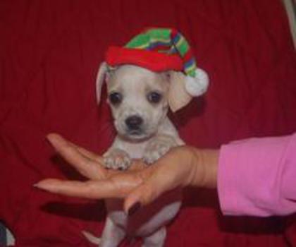 A_4tIu5CAAESvBA_thumb