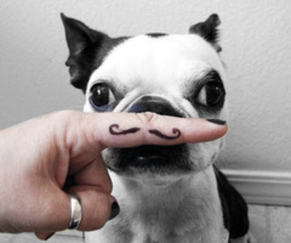 tumblr_m3t0svZFYW1roiu0io1_500_thumb