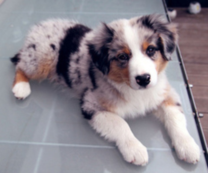 tumblr_mfgdnvZ2IX1s0s247o1_500_thumb