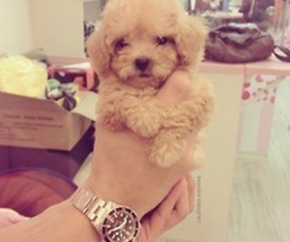 tumblr_mg6eft3iAJ1rt16dxo1_250_thumb