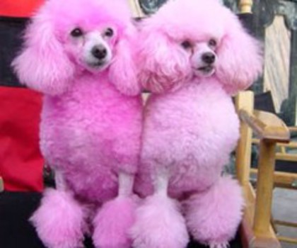 26458716530279185_hhu7uk4V_c_thumb