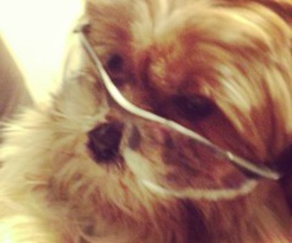 bdf9724e539611e28ed022000a1fbc58_7_thumb